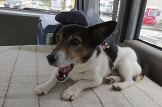IMG_3952_R_0825.jpg