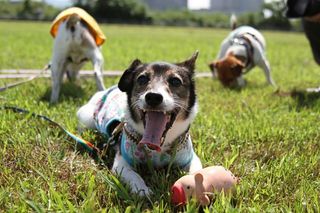 IMG_4005_R_0907.jpg
