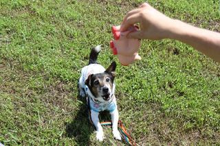 IMG_4014_R_0907.jpg