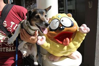 IMG_4079_R_0915.jpg