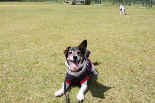 IMG_4159_R_0921.jpg