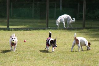 IMG_4361_R_0921.jpg