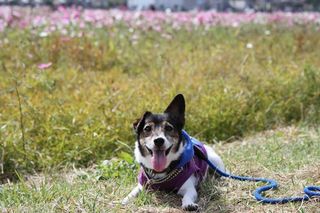 IMG_4427_R_1026.jpg