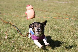 IMG_4481_R_1026.jpg