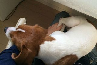 IMG_4521_R_0626.jpg