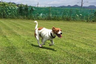IMG_4571_R_0702.jpg