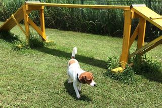 IMG_4580_R_0702.jpg