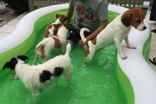 IMG_4733_R_0710.jpg
