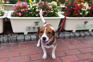 IMG_4927_2_R_0724.jpg