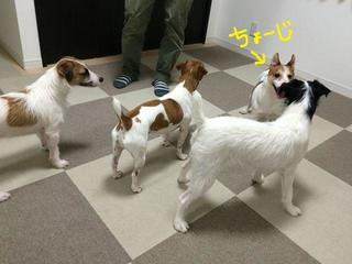 IMG_5129_1_R_0918.jpg