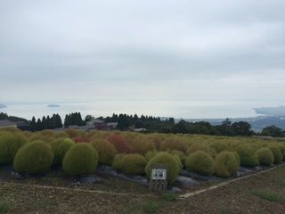 IMG_5358_R_0924.jpg