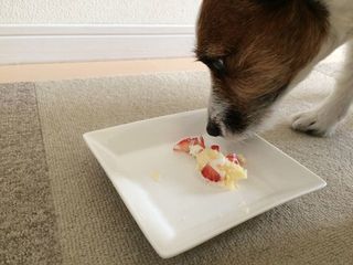 IMG_6147_R_1225.jpg