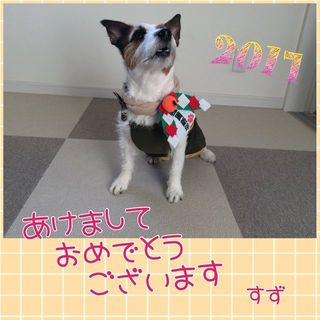 IMG_6227_R_0101.jpg