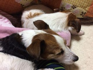 IMG_6280_R_0105.jpg