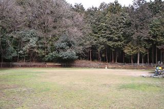 IMG_6517_R_0303.jpg