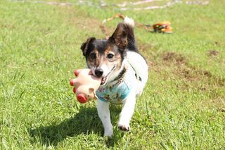 IMG_7507_R_0907.jpg