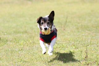 IMG_7862_R_0921.jpg