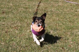IMG_8622_R_1026.jpg